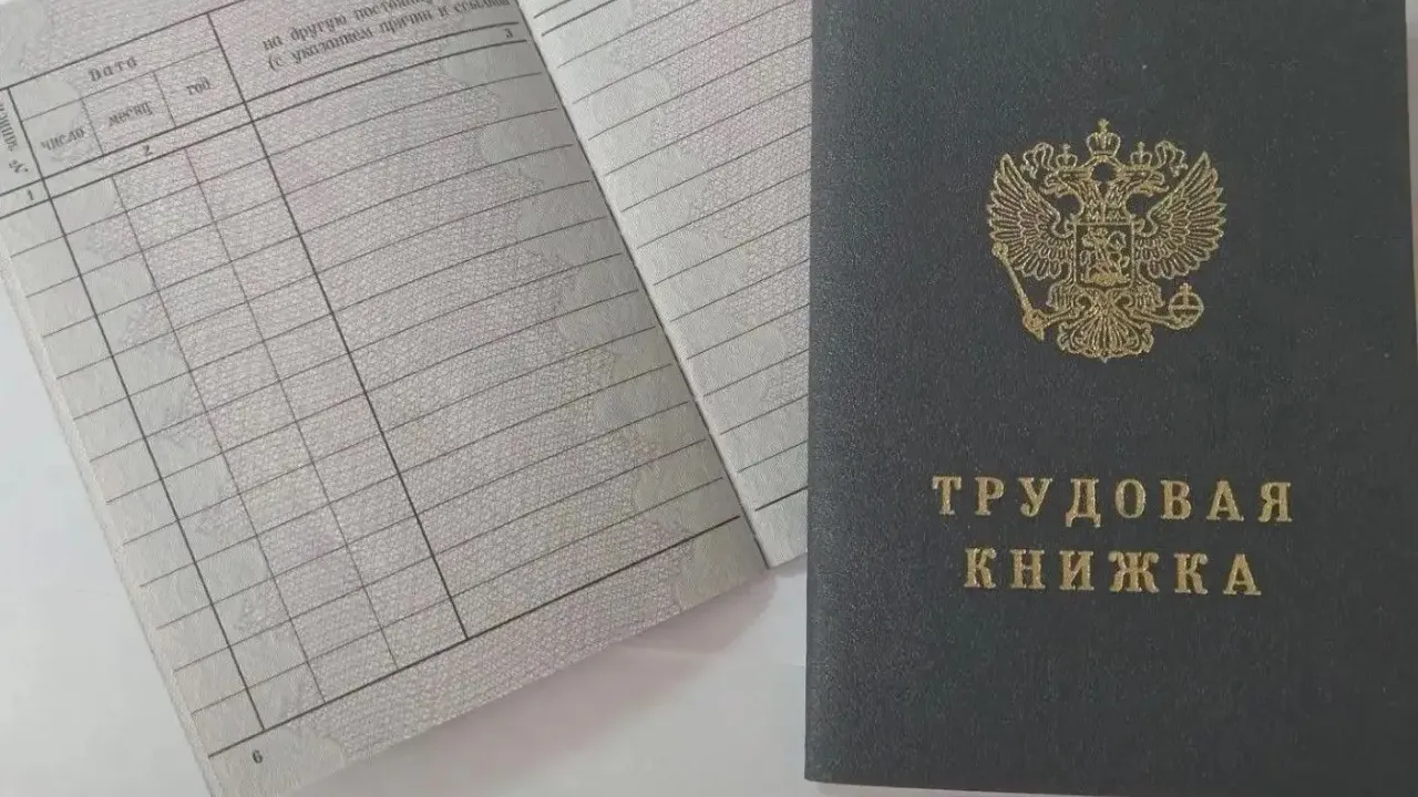 В Белгородской области за год число электронных трудовых книжек выросло на 43 тысячи — Белгород Сейчас