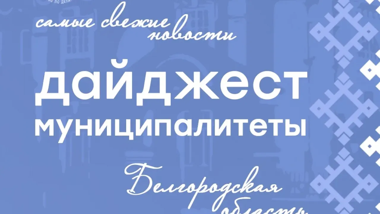 В белгородских муниципалитетах рассказали о молодежных инициативах и событиях — Белгород Сейчас