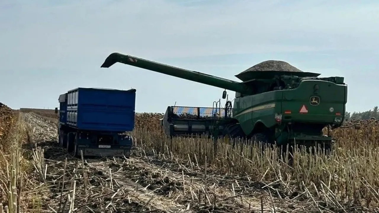 В Волоконовском округе начали уборку подсолнечника — Белгород Сейчас