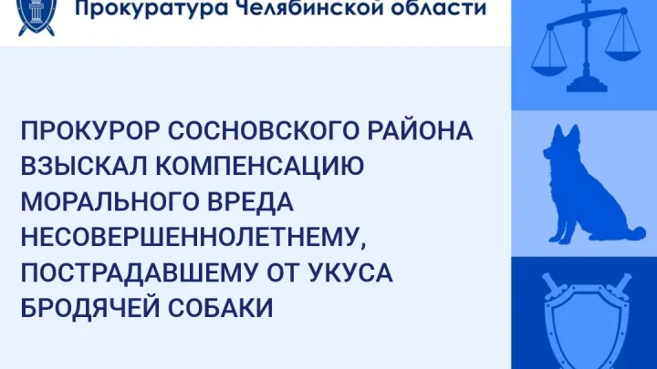 Суд взыскал 50 тысяч рублей после нападения собаки на подростка в Полетаево — Челябинск Сейчас