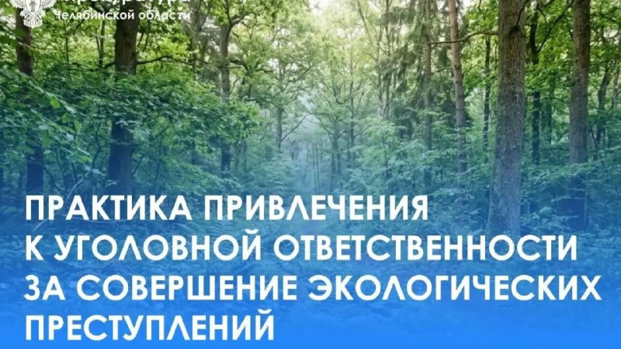 В Челябинской области ущерб от экологических преступлений превысил 65 млн рублей — Челябинск Сейчас