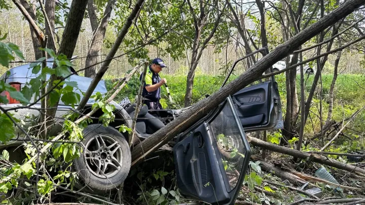 Под Верхней Пышмой водитель ВАЗ-2114 врезался в дерево и погиб — Екатеринбург Сейчас