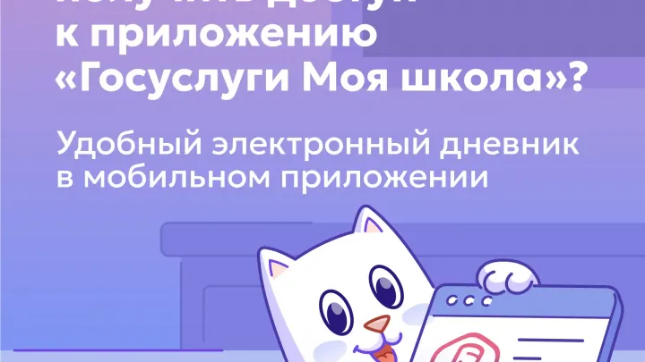 Свердловские образовательные учреждения перейдут на единый электронный дневник — Екатеринбург Сейчас