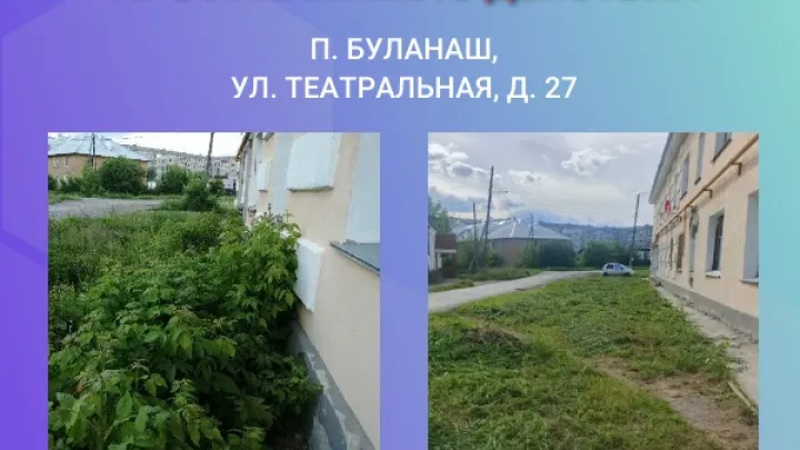 В Буланаше управляющую компанию обязали убрать траву и кусты у дома — Екатеринбург Сейчас