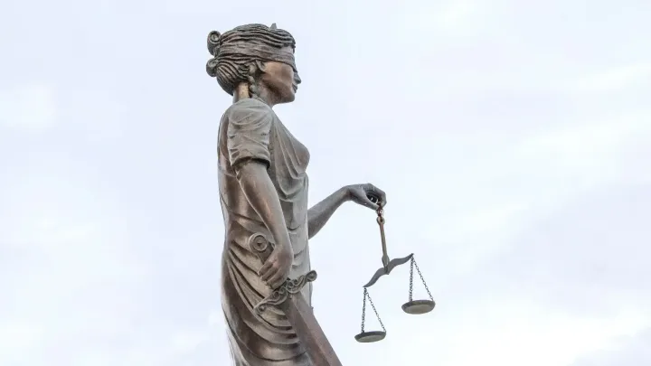 В Екатеринбурге вынесли приговор по делу о незаконном вывозе пиломатериалов — Екатеринбург Сейчас