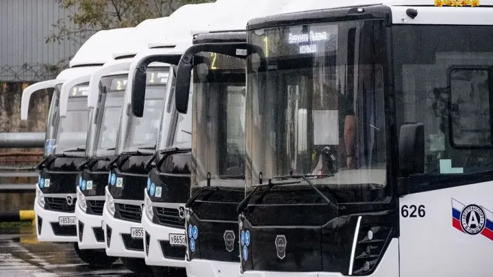 В муниципалитеты Свердловской области поступили более 80 новых автобусов — Екатеринбург Сейчас