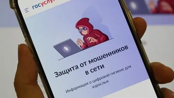 На Госуслугах запустили сервис «Защита от мошенников в сети» — Екатеринбург Сейчас