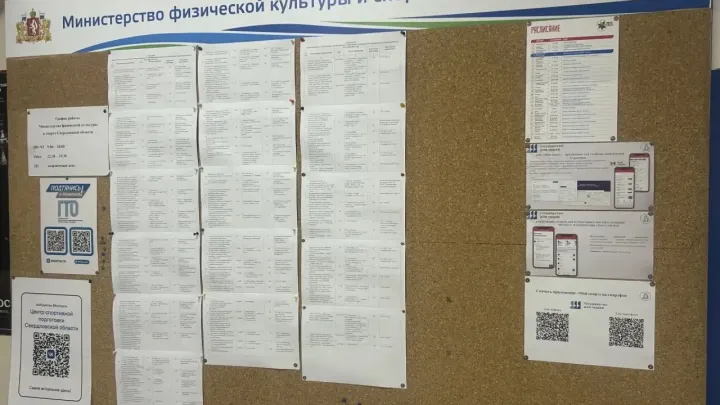В Свердловской области начали внедрять цифровую платформу «Мой спорт» — Екатеринбург Сейчас