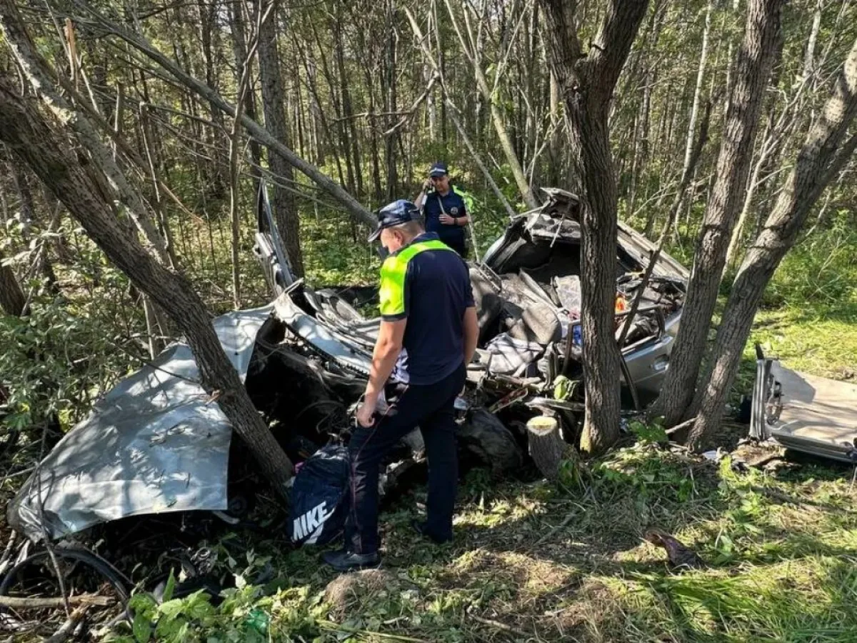 Под Верхней Пышмой водитель ВАЗ-2114 врезался в дерево и погиб