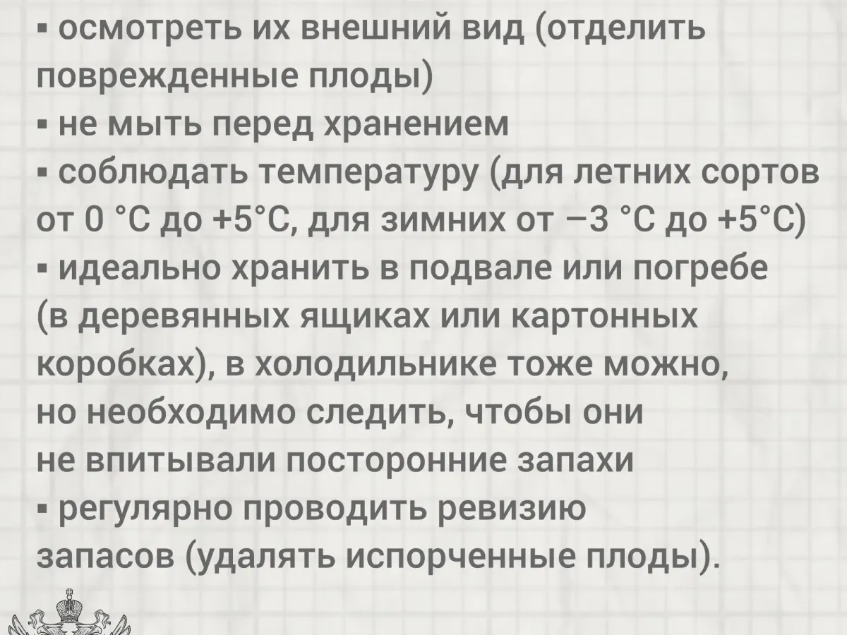 Простые советы по мытью яблок помогут сохранить здоровье