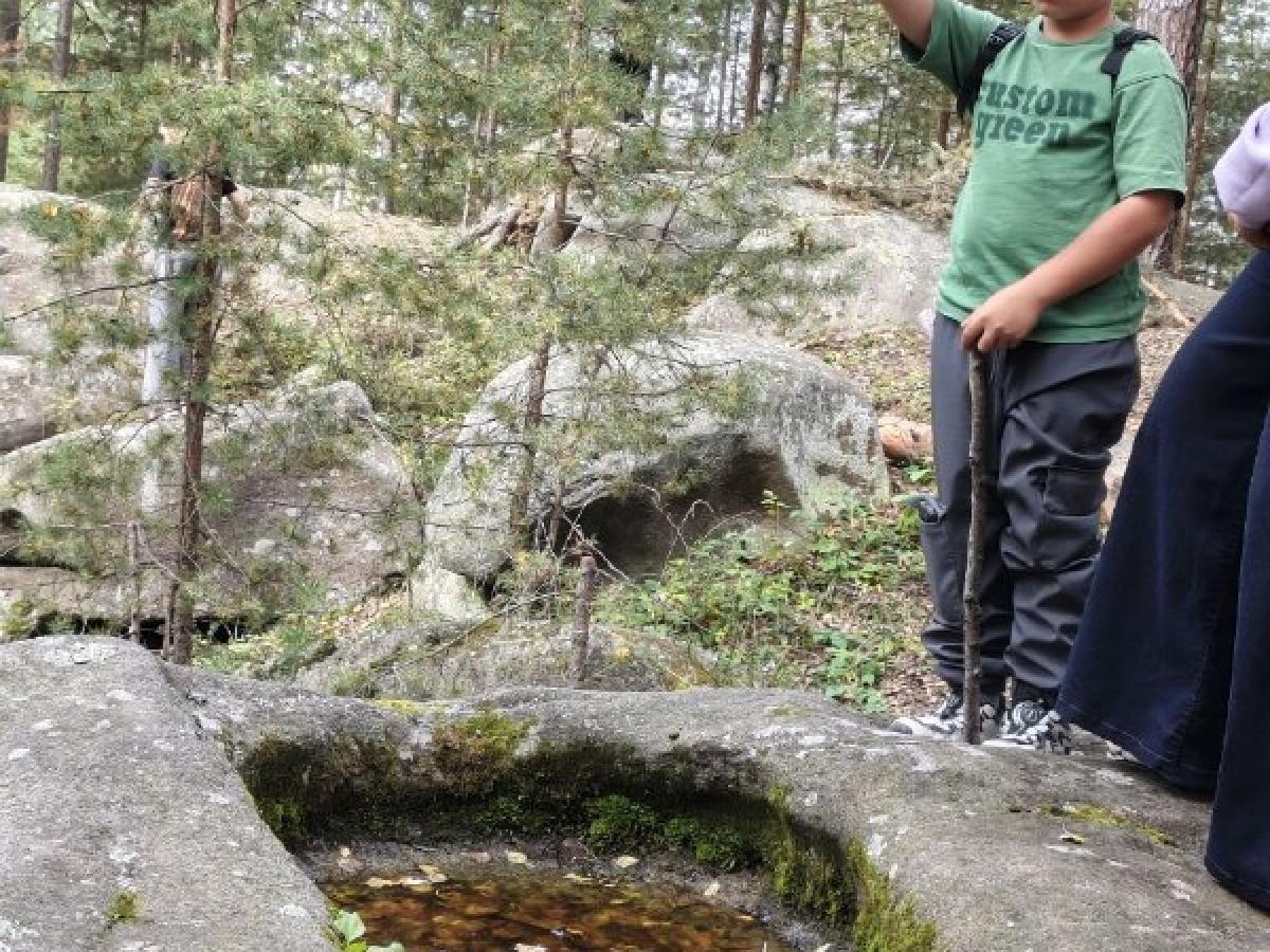 Музей истории Екатеринбурга провёл археологическую экскурсию за городом