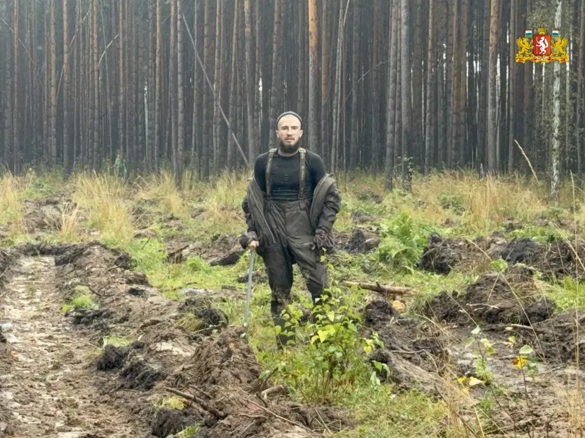 В Свердловской области высадили более 168 тысяч деревьев в рамках акции «Сохраним лес»