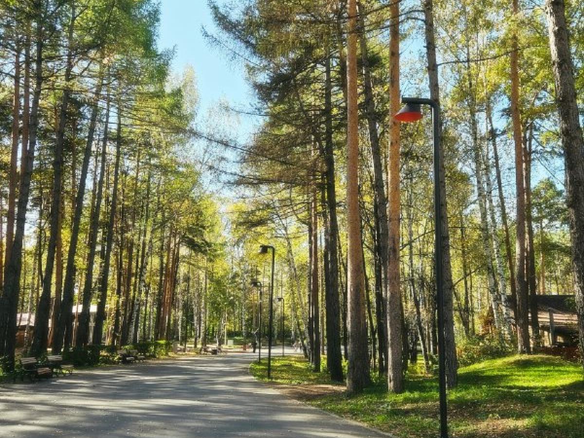 На Радиальной аллее в парке Маяковского установили 13 новых светильников