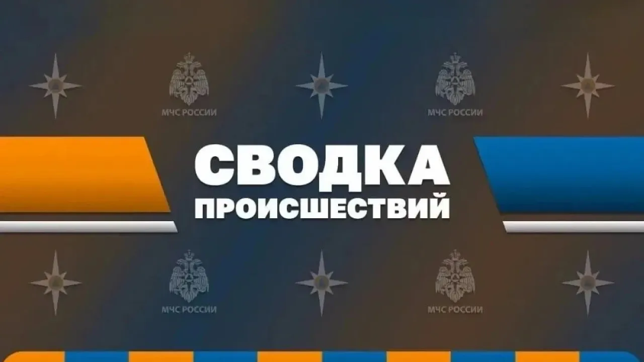 В Свердловской области за сутки ликвидировано 13 пожаров, в Екатеринбурге погиб один человек — Екатеринбург Сейчас