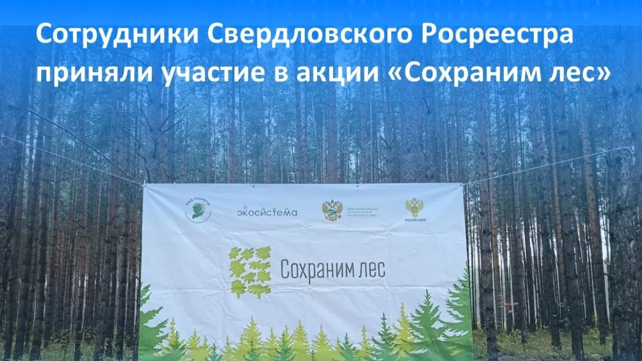 Сотрудники Росреестра по Свердловской области высадили деревья в рамках акции «Сохраним лес» — Екатеринбург Сейчас