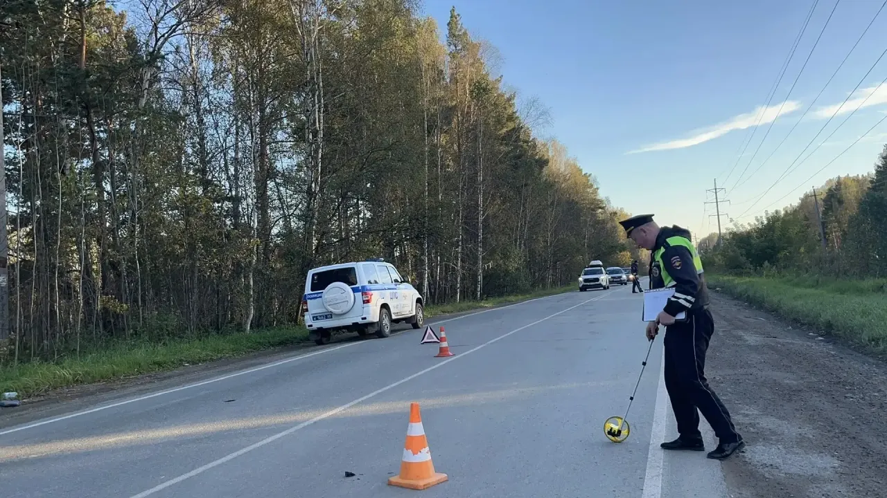 В Верхней Пышме устанавливают обстоятельства смертельного ДТП — Екатеринбург Сейчас