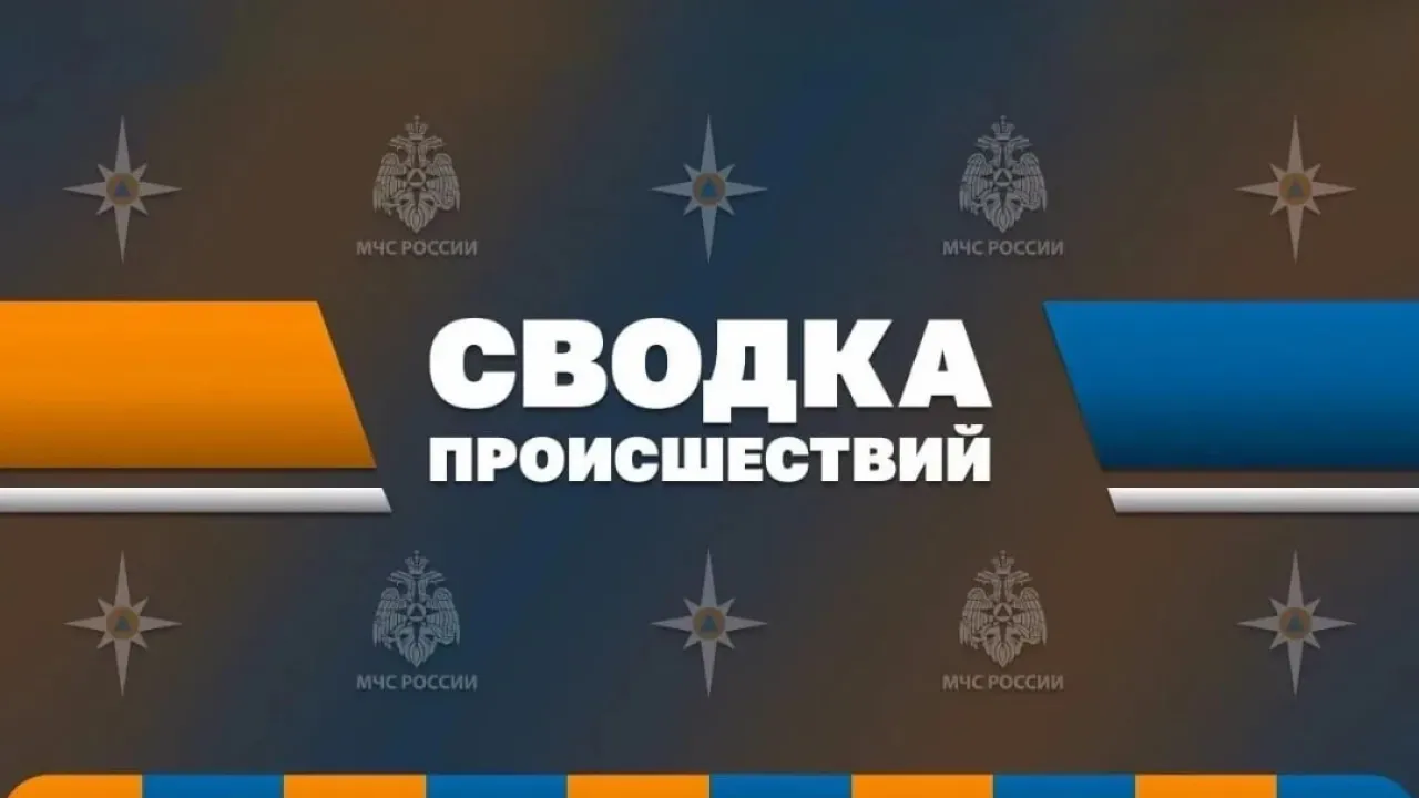 В Свердловской области за сутки ликвидировали 13 пожаров — Екатеринбург Сейчас