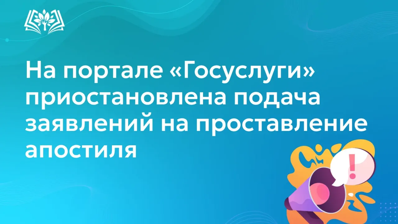 Приостановлена подача заявлений о подтверждении документов об образовании через «Госуслуги» — Екатеринбург Сейчас