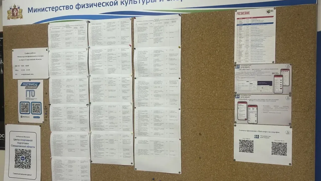 В Свердловской области начали внедрять цифровую платформу «Мой спорт» — Екатеринбург Сейчас