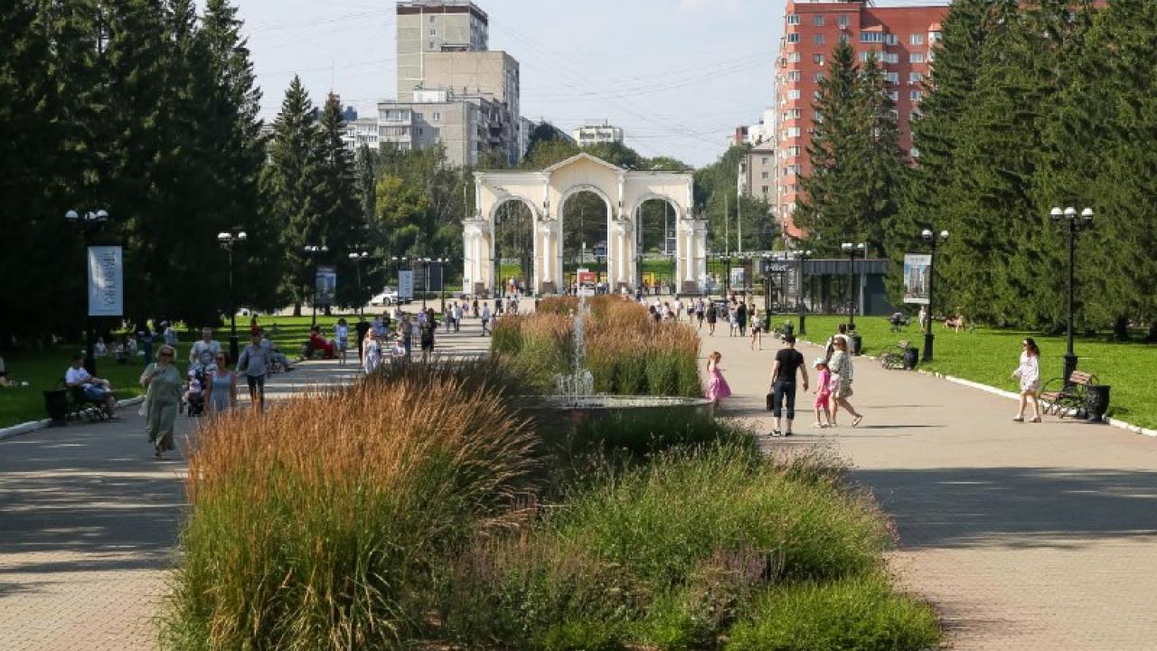 В парке Маяковского за лето провели 650 занятий для более 24 тысяч человек — Екатеринбург Сейчас