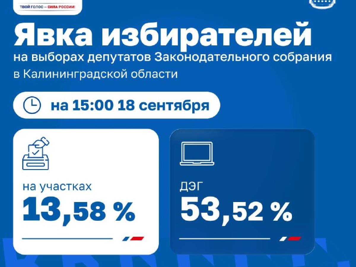 Избирком сообщил данные о явке на выборах в Калининградской области