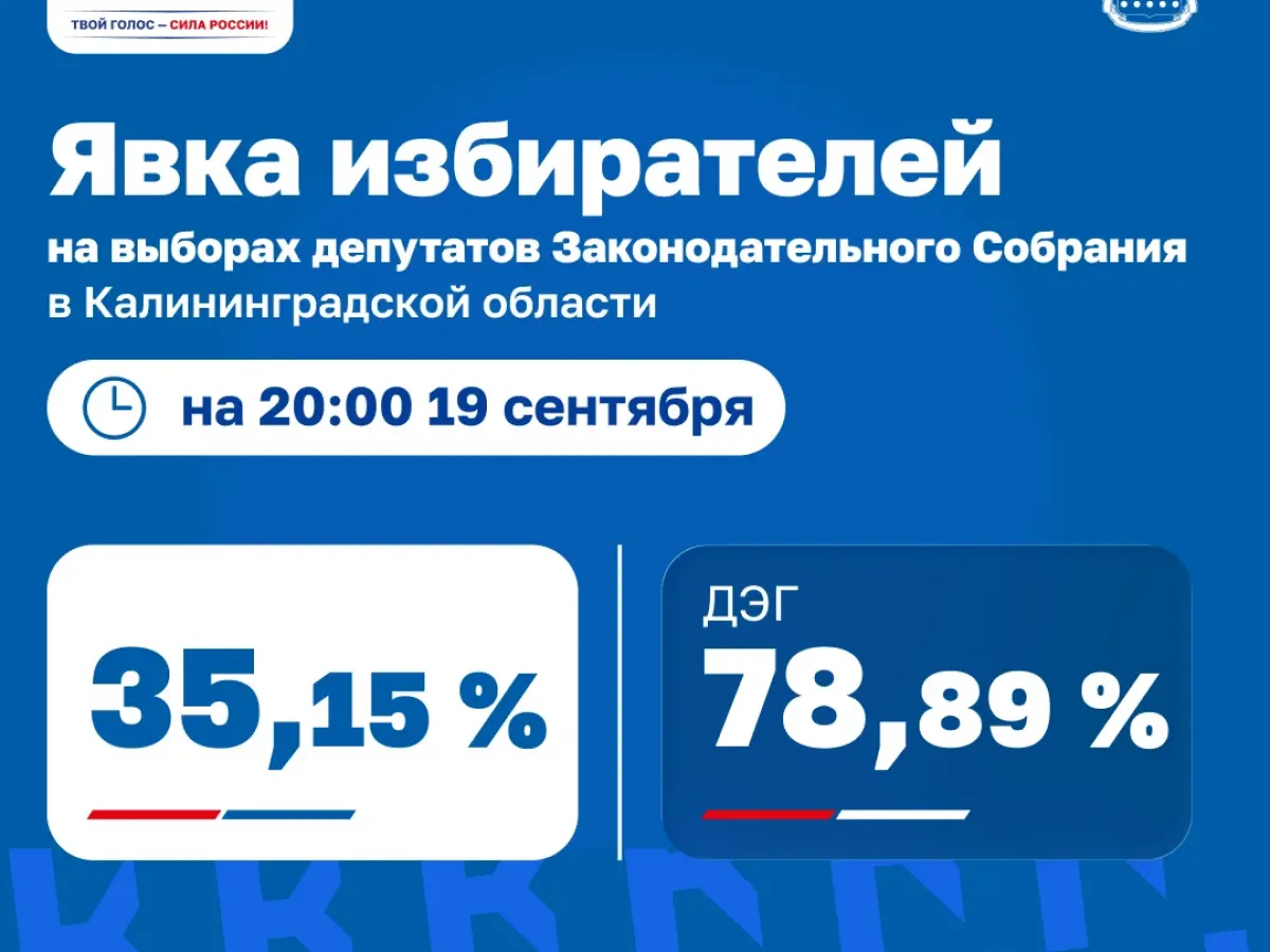 В Калининградской области опубликовали данные о явке избирателей на 20:00 19 сентября