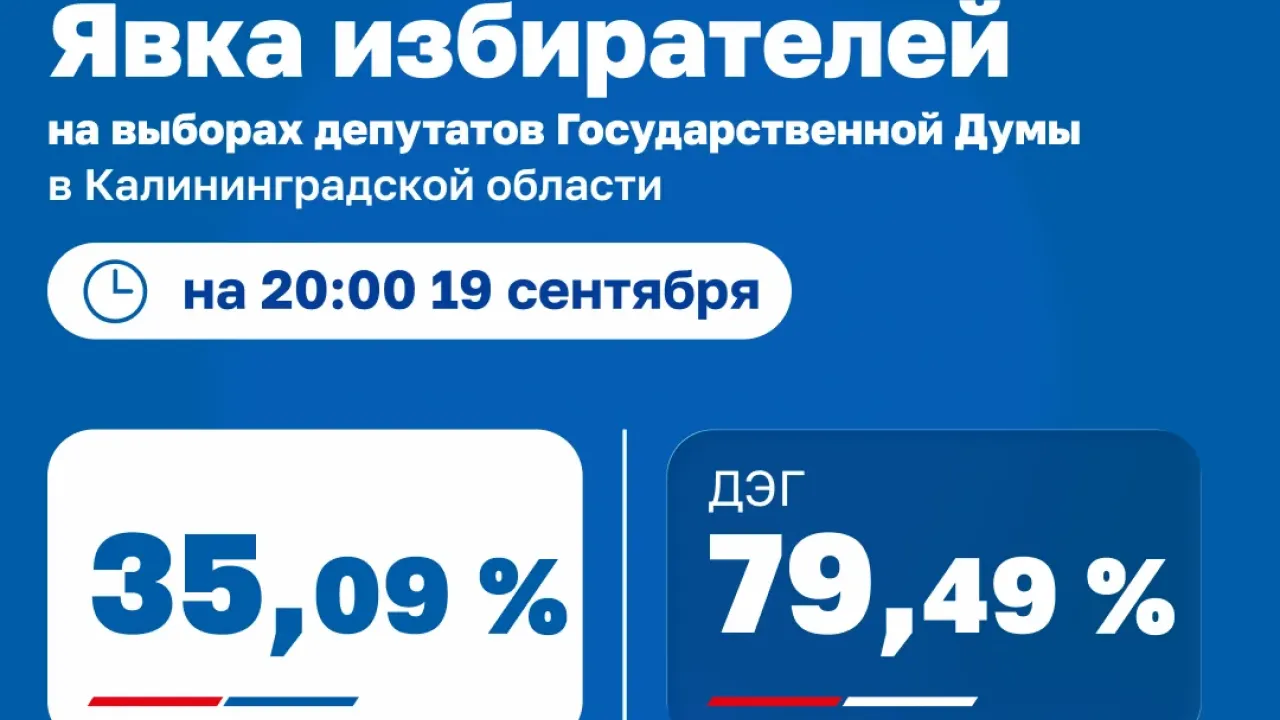 В Калининградской области опубликовали данные о явке избирателей на 20:00 19 сентября — Калининград Сейчас