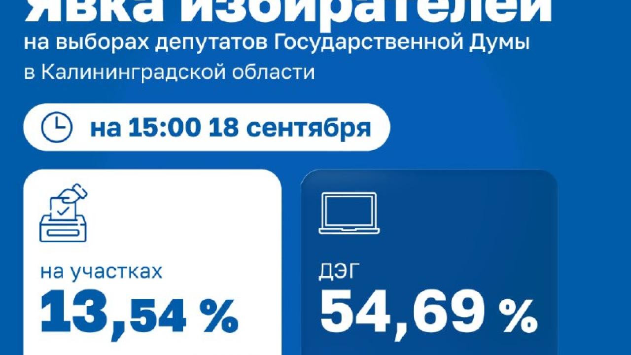 Избирком сообщил данные о явке на выборах в Калининградской области — Калининград Сейчас