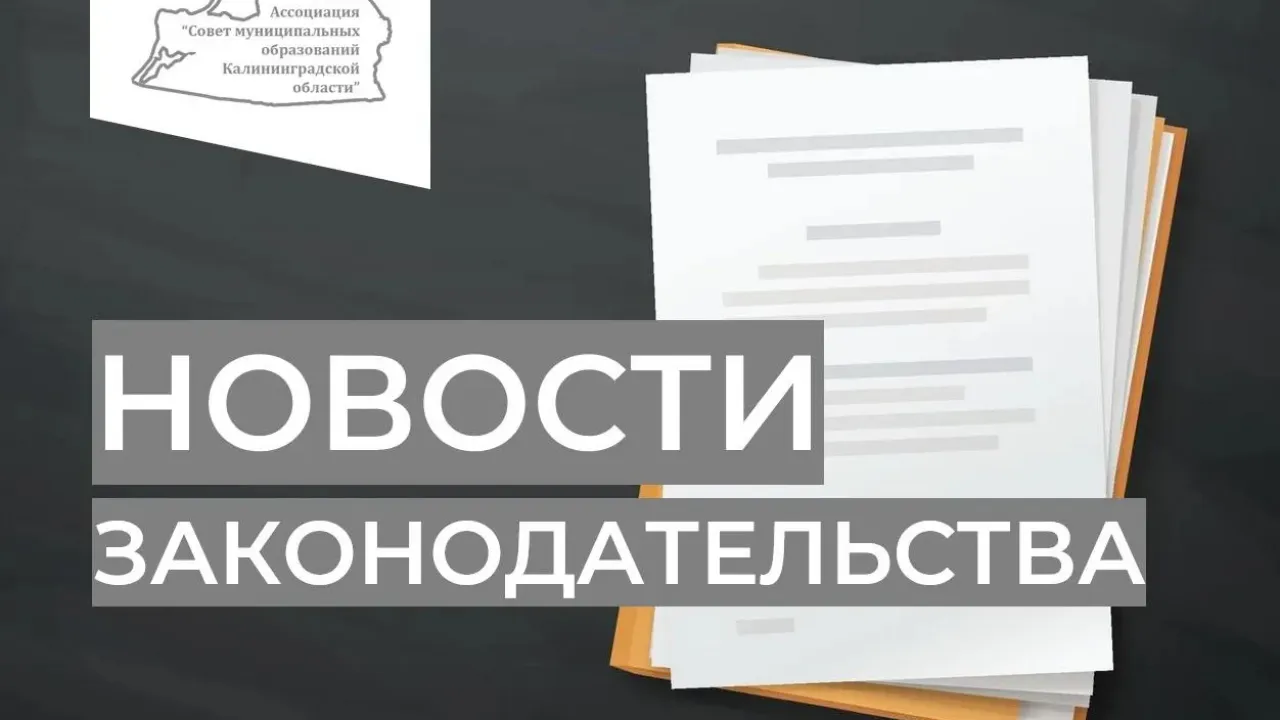 Правительство изменило правила оценки заявок в закупках работ и ремонта — Калининград Сейчас