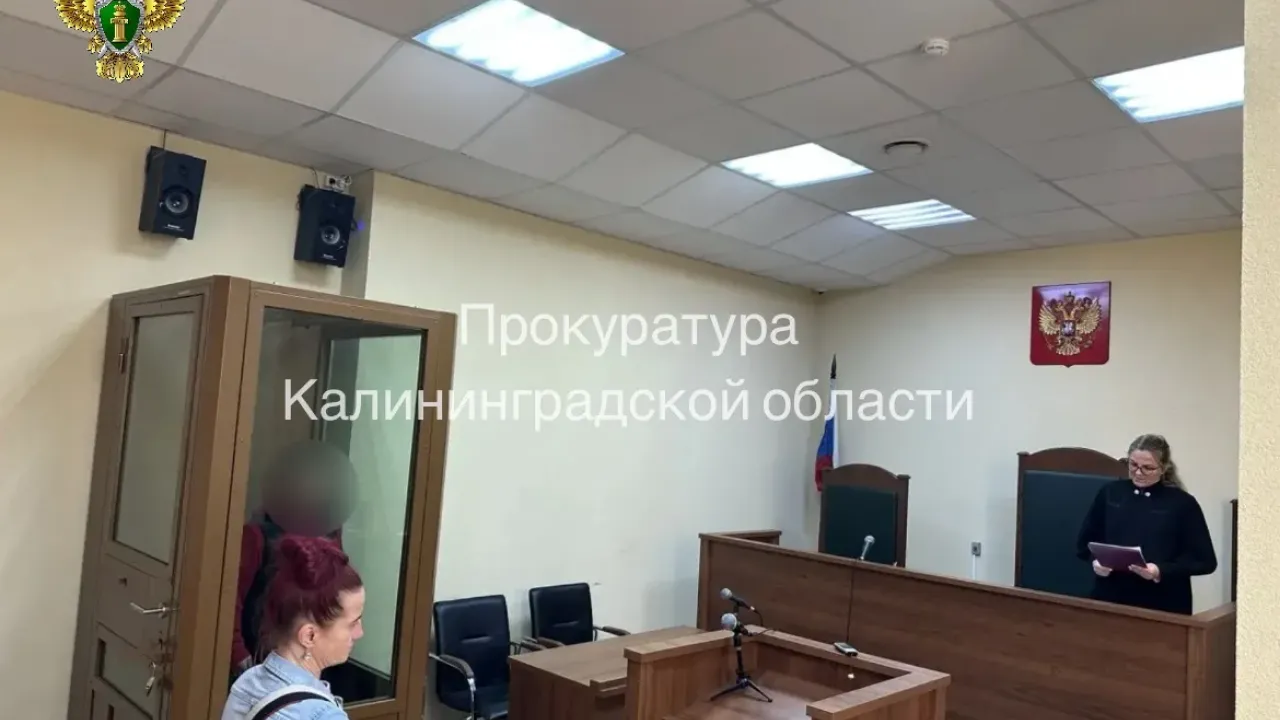 В Калининграде арестован 16-летний обвиняемый по делу о вымогательстве — Калининград Сейчас