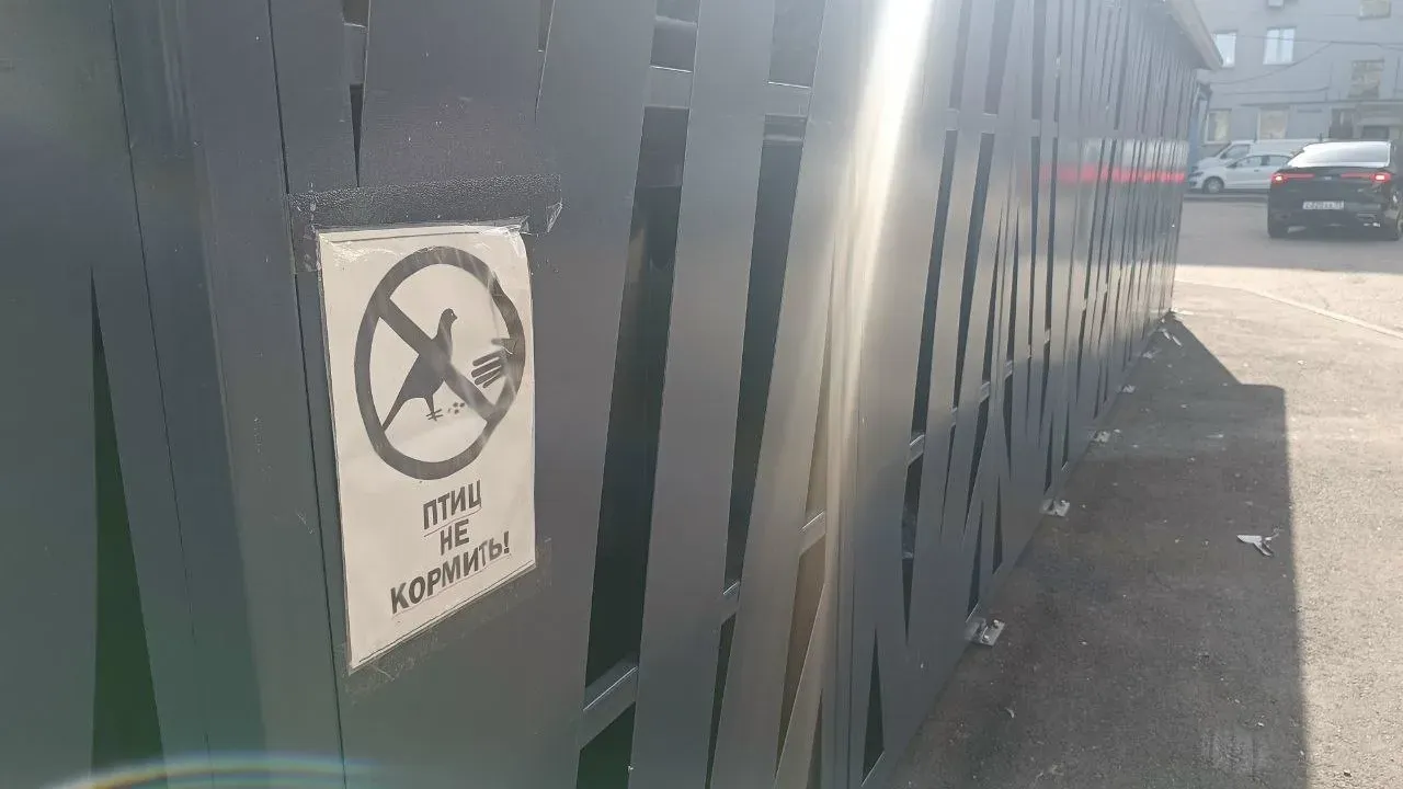 Регоператор открыл онлайн-приём для жителей через Яндекс Телемост — Калининград Сейчас