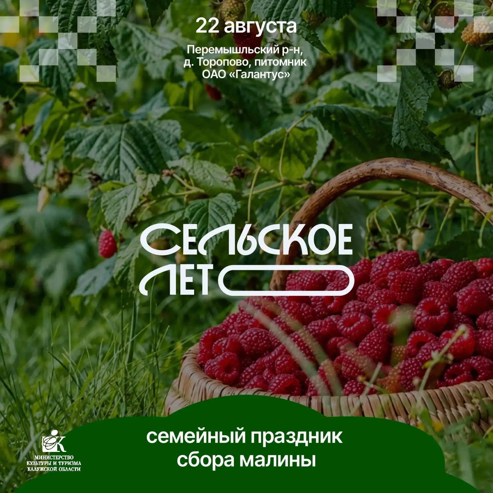 Летний семейный фестиваль «Малиновый праздник»