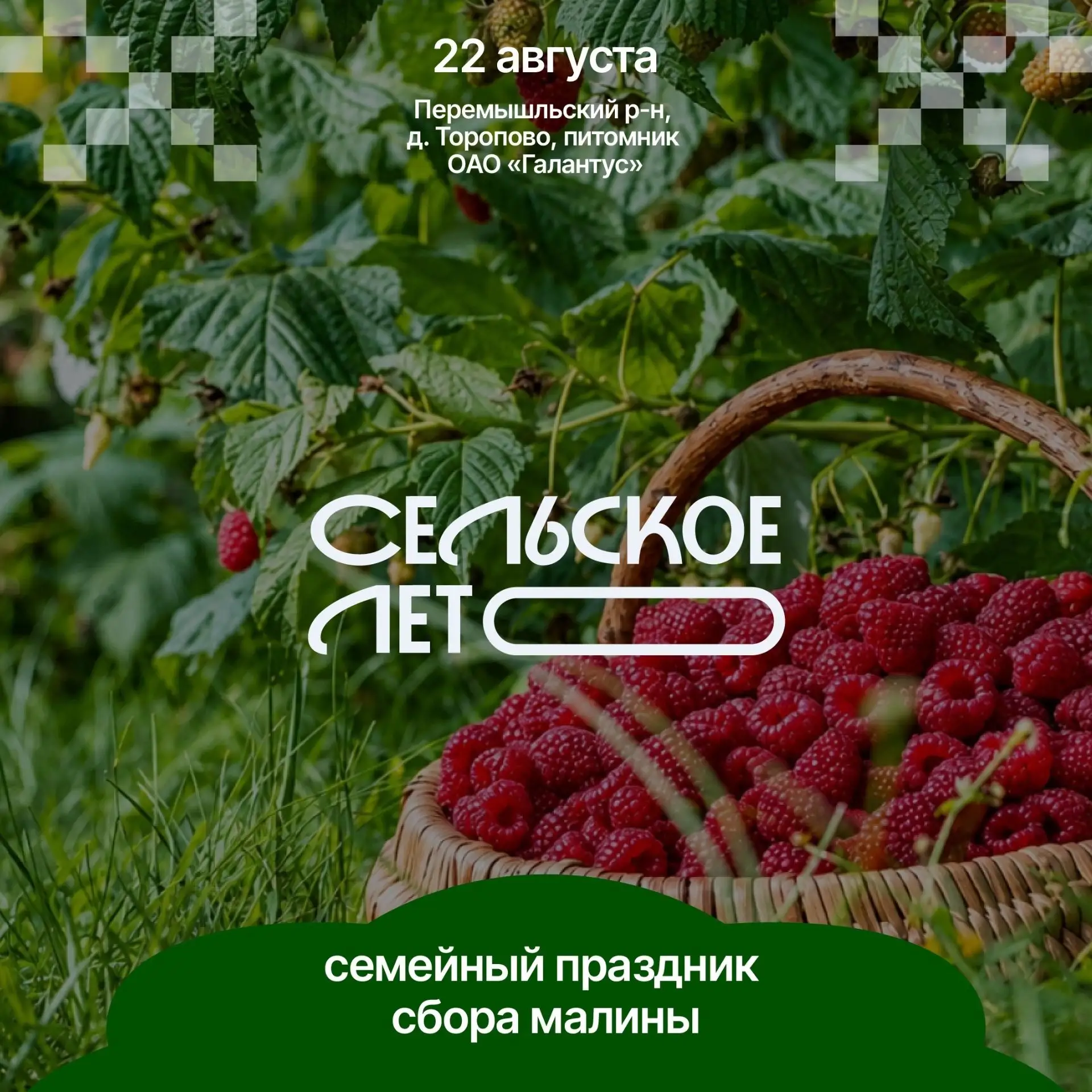 Семейный праздник сбора малины
