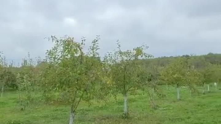 Производитель органического сидра из Калужской области получит грант на развитие — Калуга Сейчас