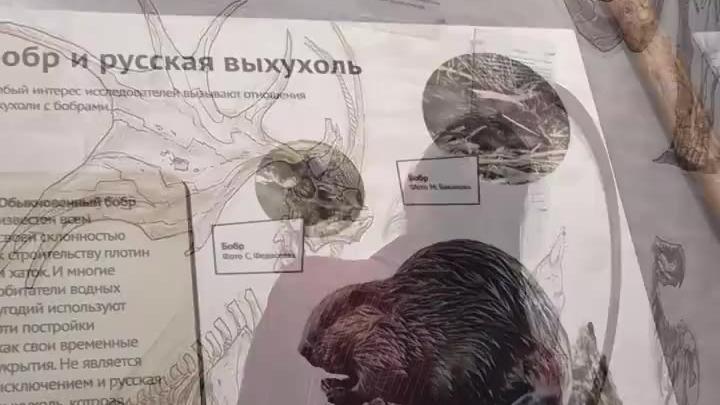 В Перемышльском округе разработают туристическую карту и бренд — Калуга Сейчас