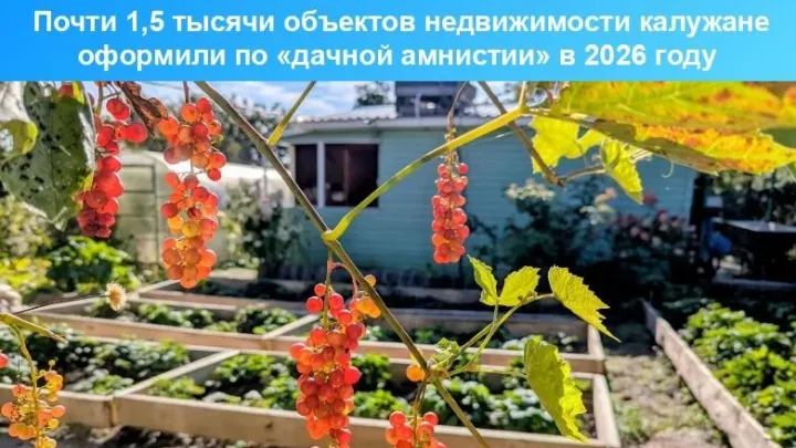 В Калужской области по дачной амнистии оформили более 133 тысяч прав — Калуга Сейчас