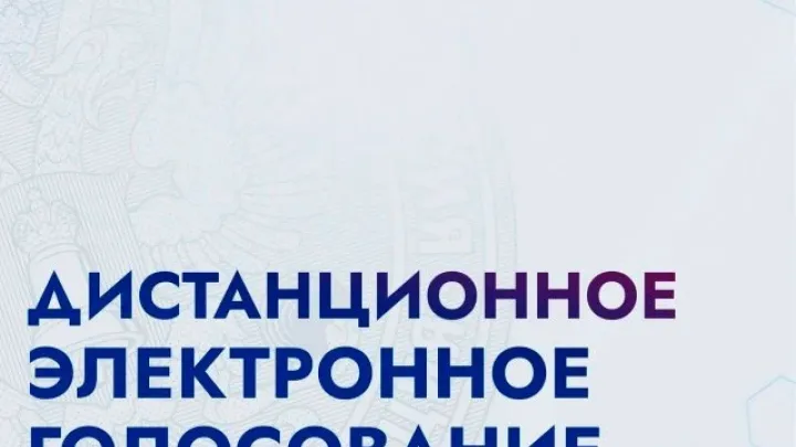 Более 2 млн человек зарегистрировались на дистанционное электронное голосование — Калуга Сейчас