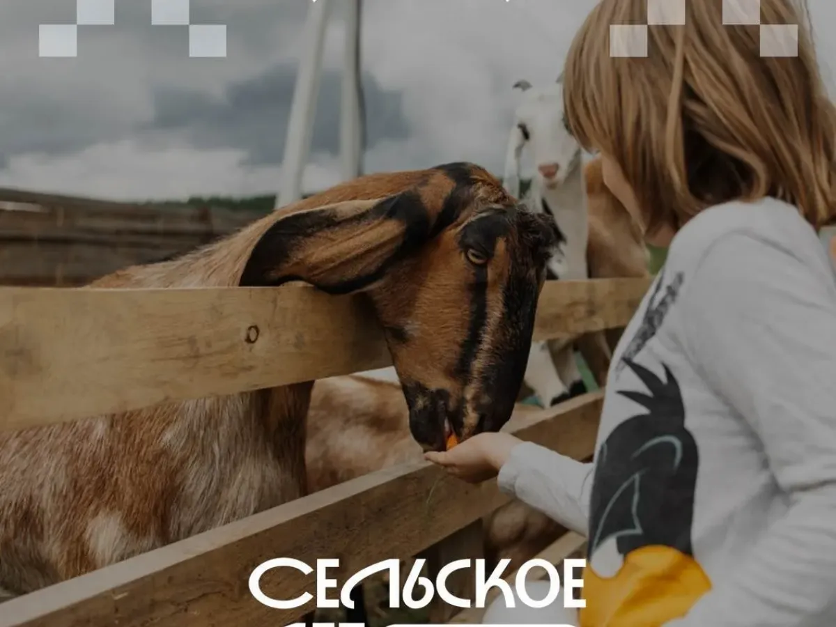 «Сельское лето» вошло в маршруты калужских туроператоров