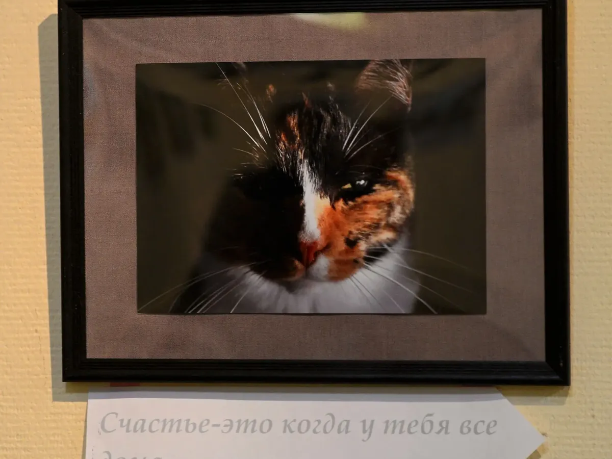 В Калужском доме музыки открылась выставка «Тепло родного дома»