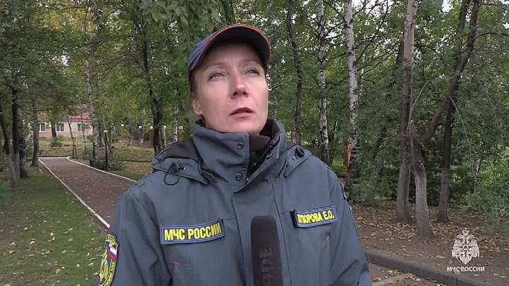 В Хабаровском крае ожидаются мокрый снег, дождь и усиление ветра — Хабаровск Сейчас