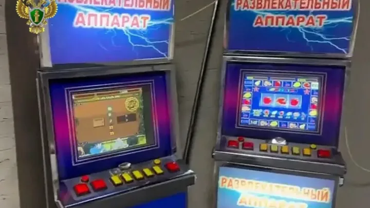 В Хабаровске будут судить четырех женщин по делу об организации азартных иг? — Хабаровск Сейчас