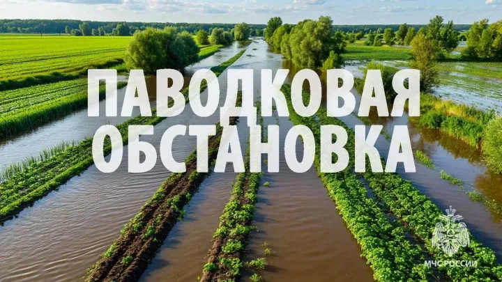 В Хабаровском крае сократилось число подтопленных участков и дорог — Хабаровск Сейчас