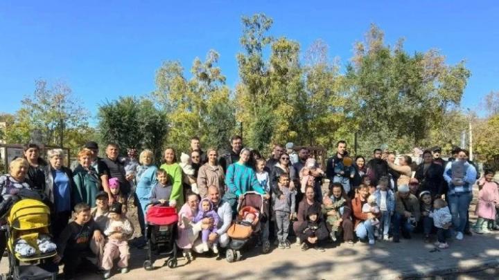 В Индустриальном районе высадили новые саженцы на территории будущего сквера — Хабаровск Сейчас