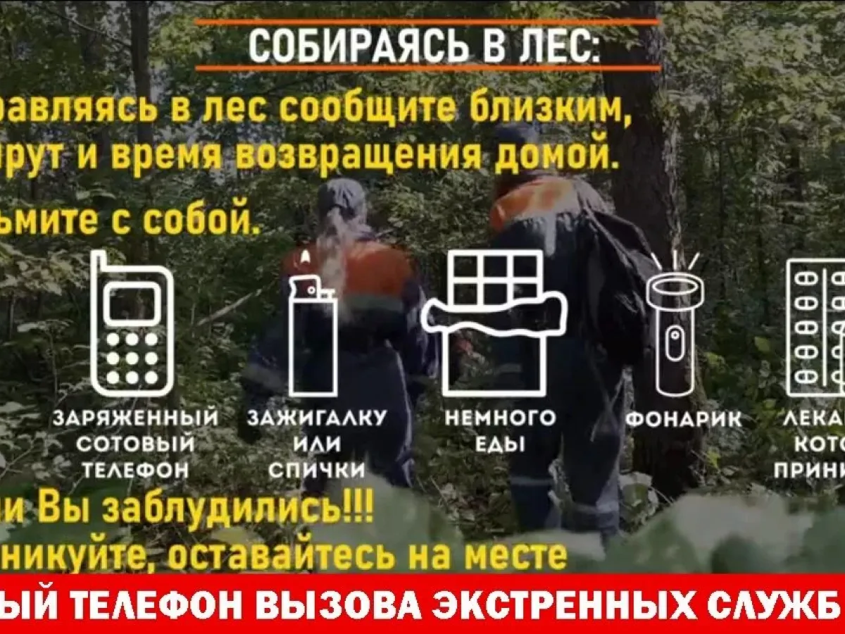 В Хабаровском крае спасатели помогли выйти из леса двум грибницам