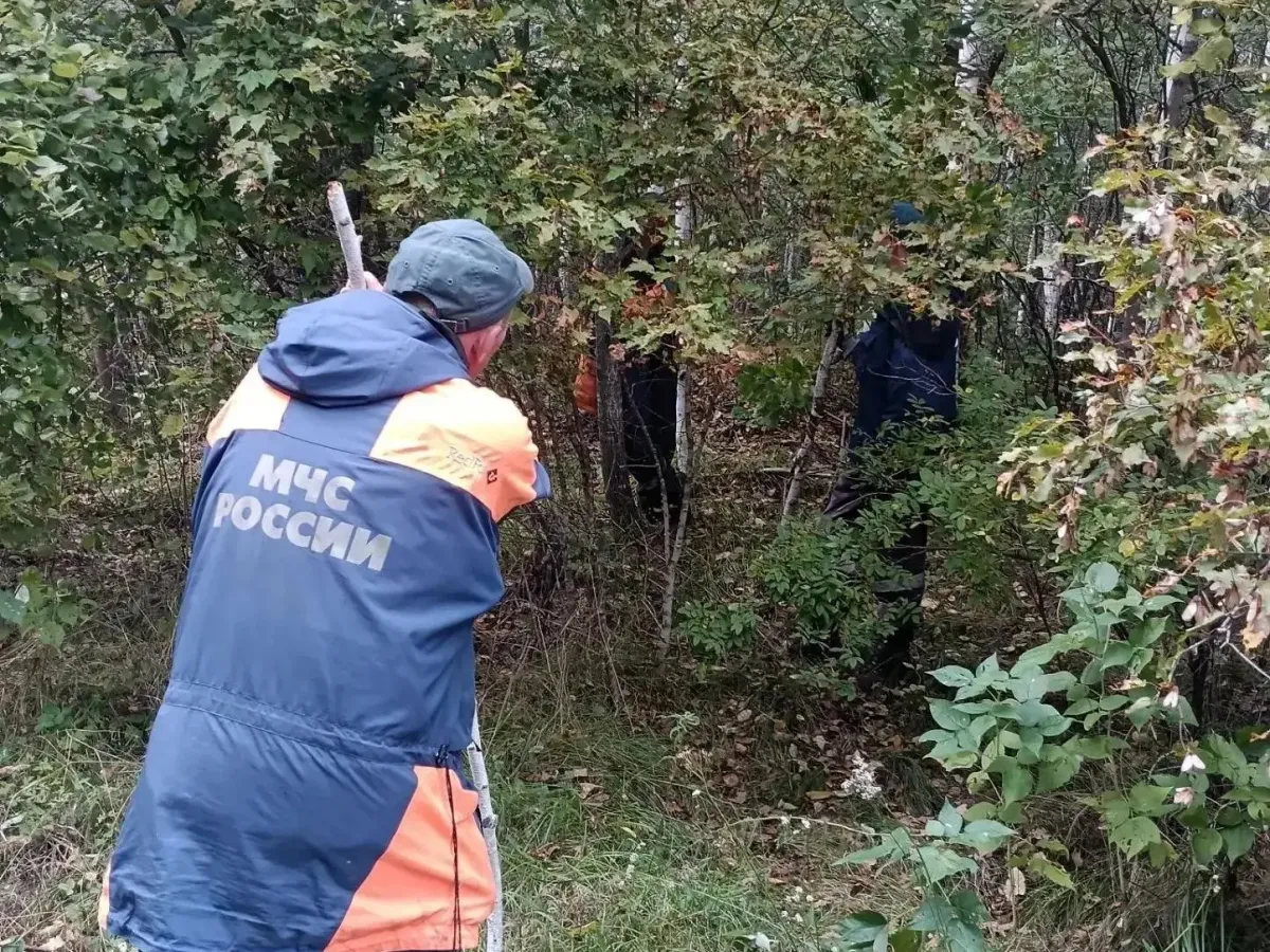 В Хабаровском крае спасатели напомнили правила безопасности при походе в лес