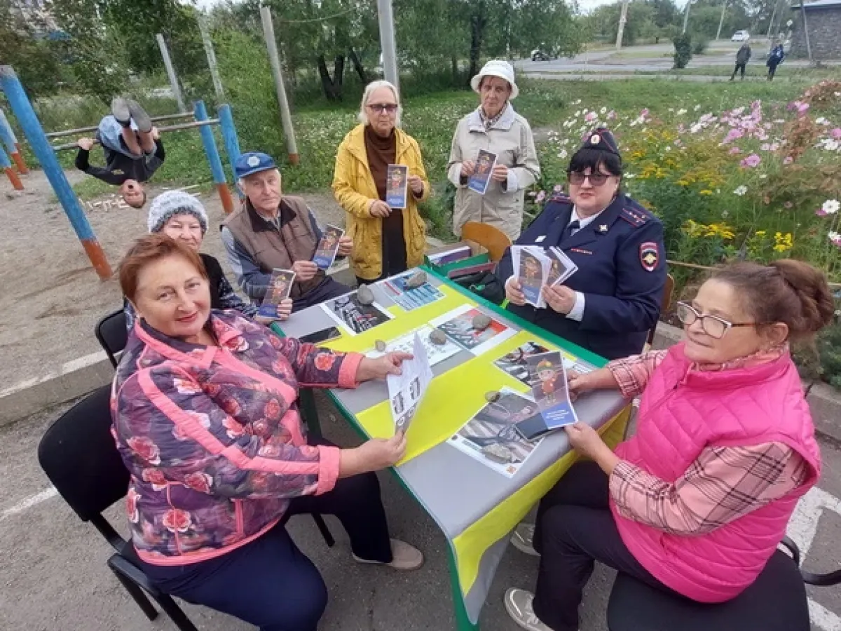В Комсомольске-на-Амуре прошла акция «В школу по безопасной дороге»