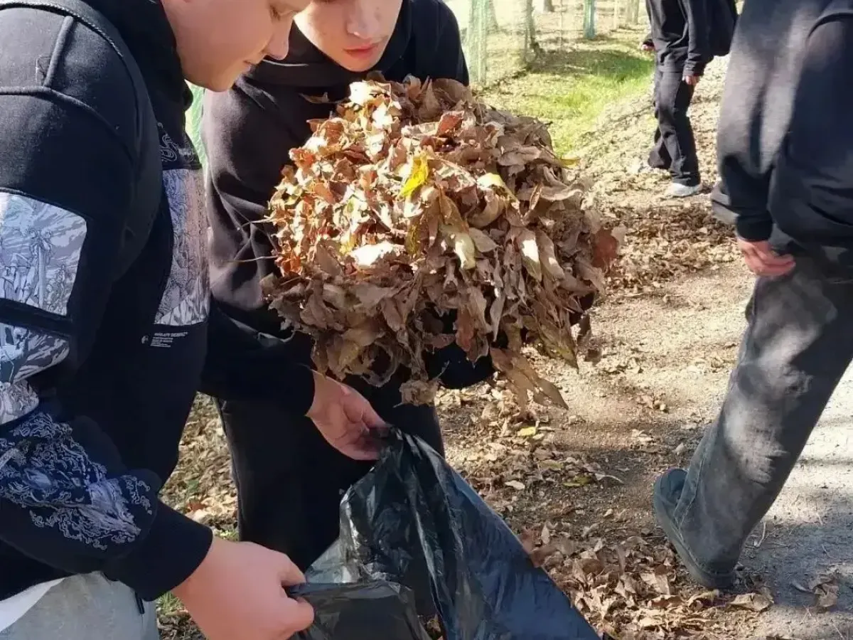 В Хабаровском крае стартовал осенний субботник в рамках акции «Зеленая Россия»