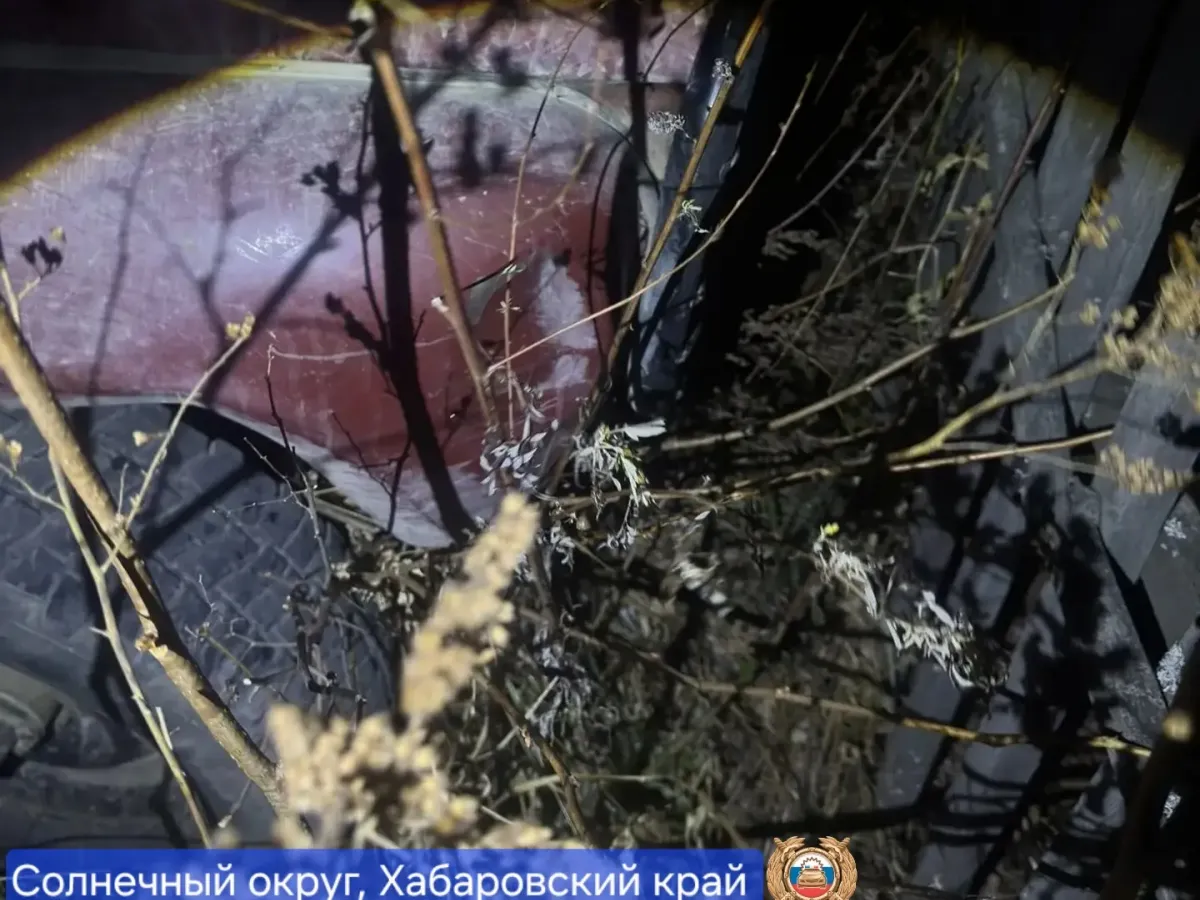 В столкновении мотоцикла и УАЗа в Солнечном округе пострадали двое подростков