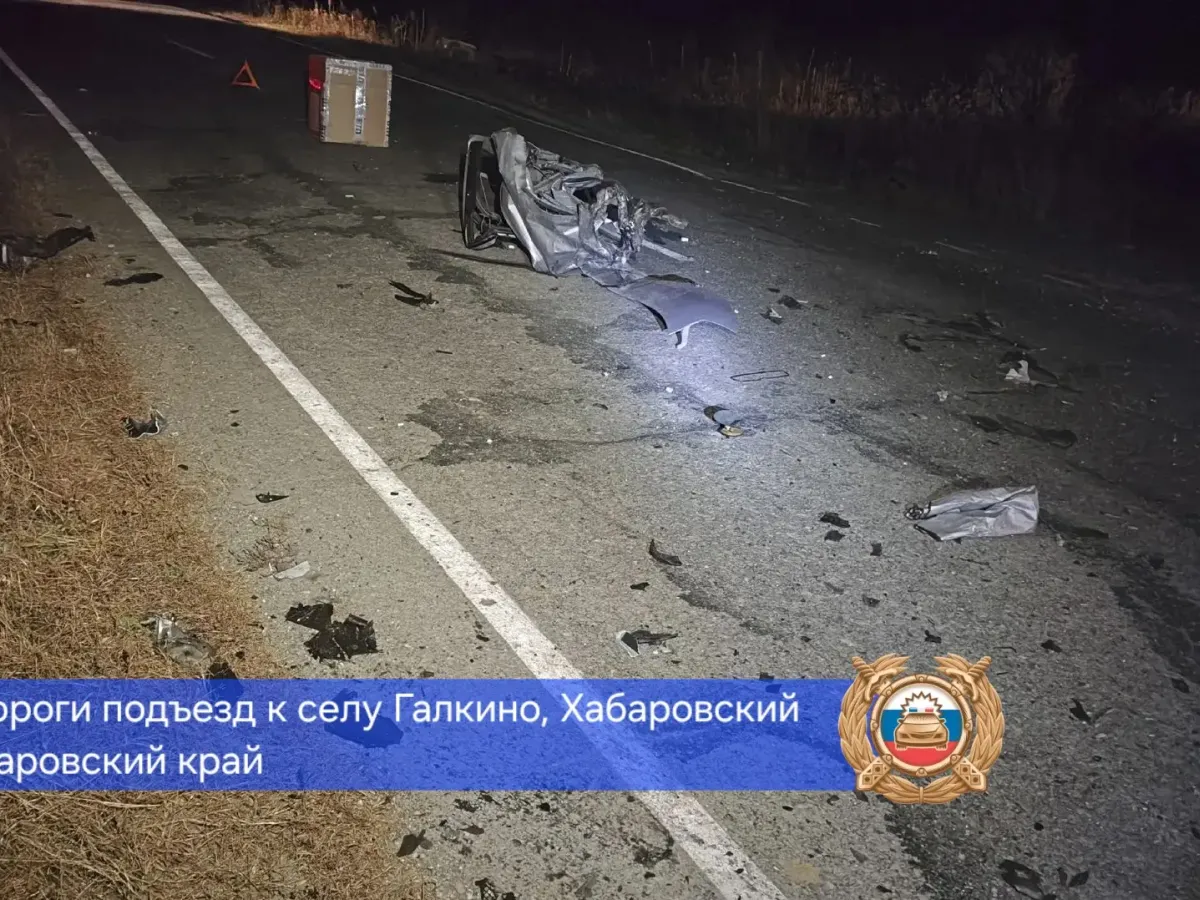 В лобовом столкновении в Хабаровском районе погибли два пассажира