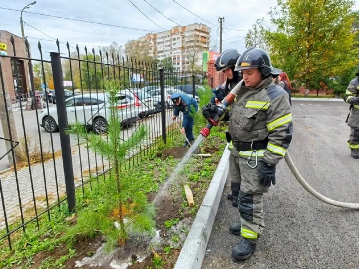 В Хабаровске рядом с пожарной частью высадили хвойную аллею